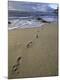 Premium Photographic Print