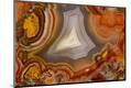 Premium Photographic Print