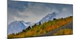 Photographic Print