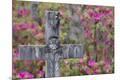 Premium Photographic Print