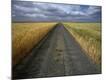 Premium Photographic Print