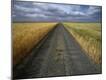 Photographic Print
