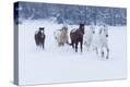 Stretched Canvas Print