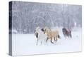 Stretched Canvas Print