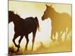 Premium Photographic Print