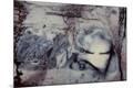 Premium Photographic Print