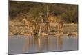 Photographic Print