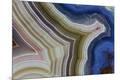 Premium Photographic Print