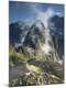 Photographic Print