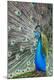 Premium Photographic Print