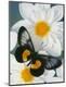 Premium Photographic Print