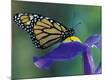 Premium Photographic Print