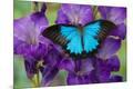 Premium Photographic Print