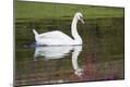 Premium Photographic Print