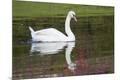 Premium Photographic Print