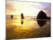 Photographic Print