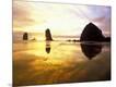 Photographic Print
