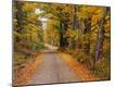 Photographic Print