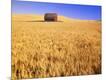Photographic Print