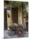 Premium Photographic Print