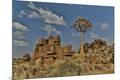 Photographic Print