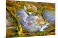 Premium Photographic Print