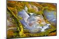 Premium Photographic Print