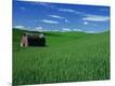 Photographic Print