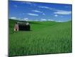 Photographic Print