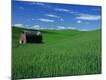 Photographic Print