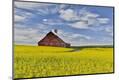 Photographic Print