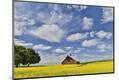 Photographic Print