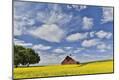 Photographic Print