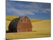 Premium Photographic Print