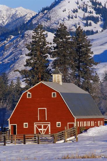 Premium Photographic Print, , large