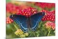 Premium Photographic Print