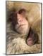 Premium Photographic Print