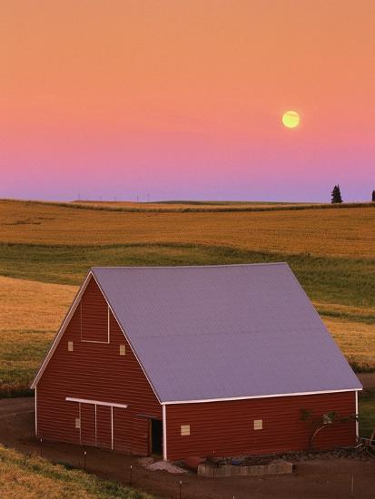 Photographic Print, , large