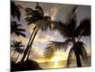 Photographic Print