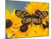 Premium Photographic Print