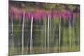 Premium Photographic Print