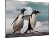 Premium Photographic Print
