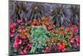Premium Photographic Print