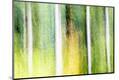 Premium Photographic Print