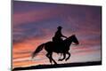 Premium Photographic Print