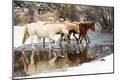 Photographic Print
