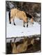 Photographic Print