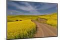 Premium Photographic Print