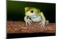Premium Photographic Print