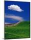 Premium Photographic Print
